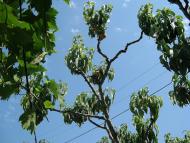 Рибаче з panoramio.com (ч.2)