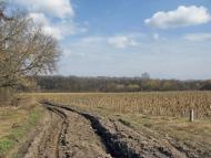 Бандурове з panoramio.com