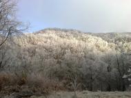 Синяк з panoramio.com