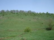 Любомирівка з panoramio.com