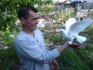 Піонерське з panoramio.com