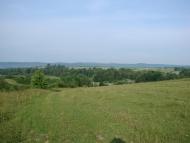 Передільниця - Останні фото