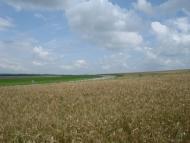 Івахнівці з panoramio.com