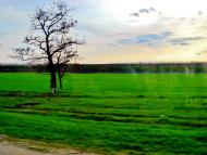 Неморож - Останні фото