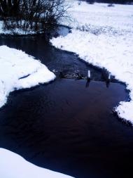 Мартинівка з panoramio.com