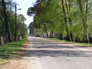 Красний Бір з panoramio.com