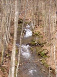 Полянська Гута - Останні фото