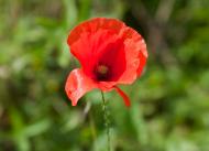 Болотня - Останні фото