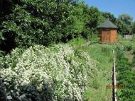 Сніжне з panoramio.com