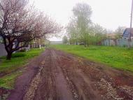 Сімейкине - Останні фото