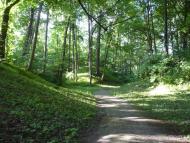 Васьківці з panoramio.com