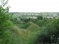 Вільшани з panoramio.com