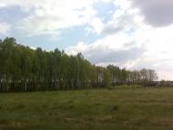 Борове - Останні фото