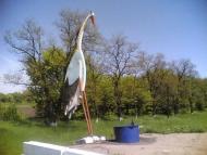 Степ з panoramio.com