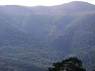 Запрудне з panoramio.com