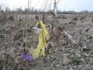 Теково - Останні фото