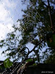 Звози з panoramio.com