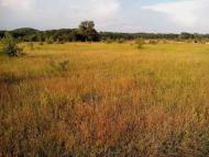 Юрки з panoramio.com