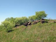 Селезнівка з panoramio.com