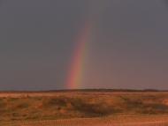 Айвове з panoramio.com