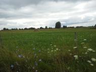 Сошники з panoramio.com