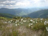 Тростянець з panoramio.com (ч.2)