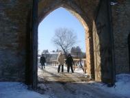 Требухівці з panoramio.com