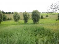 Черемошне з panoramio.com