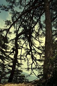 Оползневе з panoramio.com