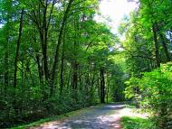 Березне - Останні фото