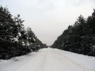 Дідковичі з panoramio.com