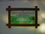 Голубинка з panoramio.com