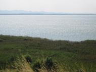 Орлівка - Останні фото