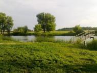 Ковяги - Последние фото