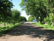 Баланівка з panoramio.com