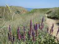 Орджонікідзе з panoramio.com (ч.2)