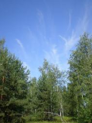 Чаплищі з panoramio.com