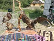 Подобовець з panoramio.com (ч.2)