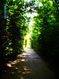 Розівка з panoramio.com (ч.2)