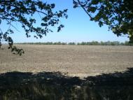 Синюхин Брід з panoramio.com