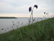 Кошари з panoramio.com