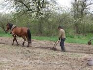 Прохорів з panoramio.com