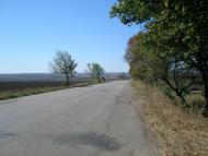 Синюхин Брід з panoramio.com