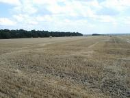 Степ з panoramio.com