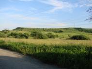 Передільниця - Останні фото