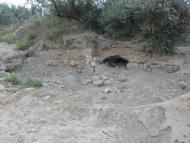 Заозерне з panoramio.com