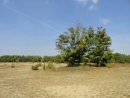 Северинівка з panoramio.com