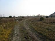 Домашів з panoramio.com