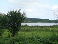 Матвіїха - Останні фото