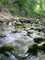 Генеральське з panoramio.com (ч.3)